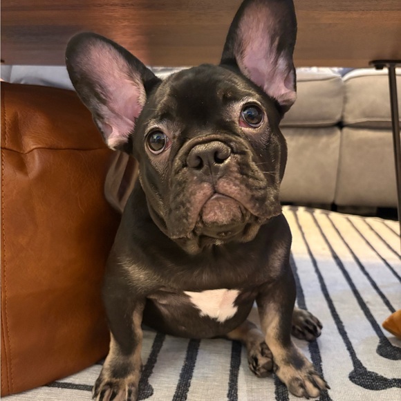 furstrillyo